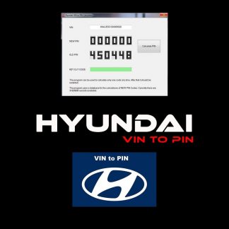 HYUNDAI VIN TO PIN