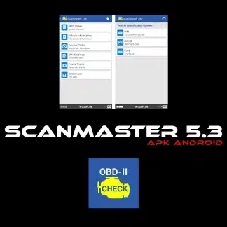 Interface logicielle ScanMaster-ELM v5.3 affichant les compteurs en temps réel.