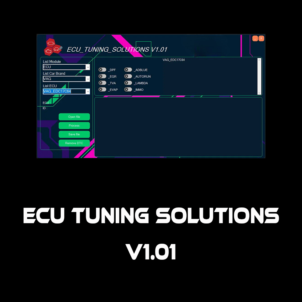 Capture d'écran du logiciel ECU Tuning Solutions V1.01